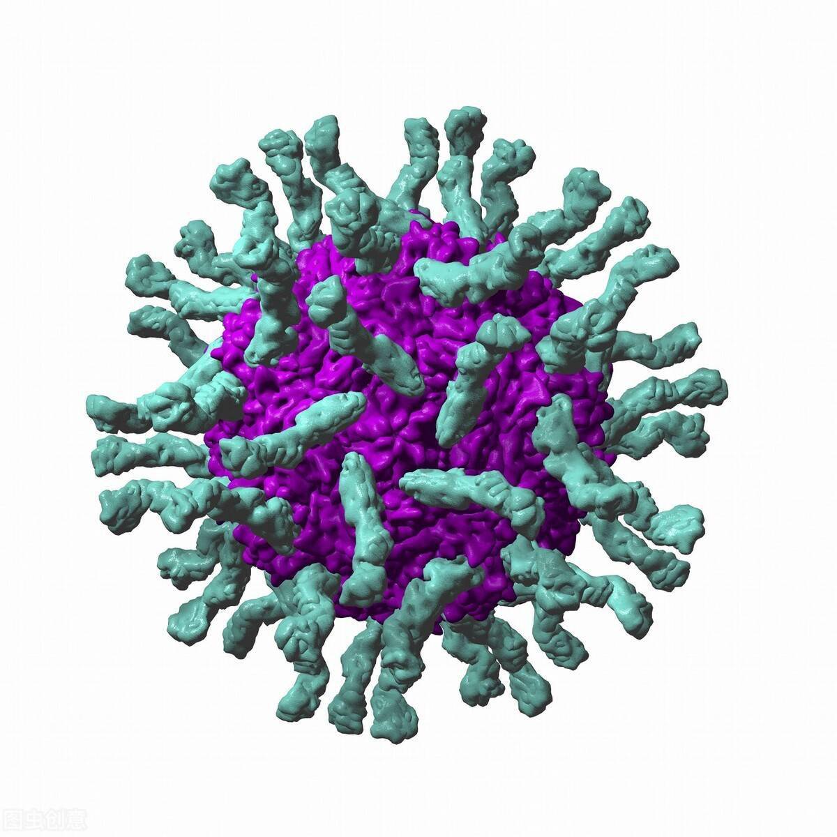 病毒文件有哪些_文件型病毒的主要特点_病毒特点型文件主要包括什么