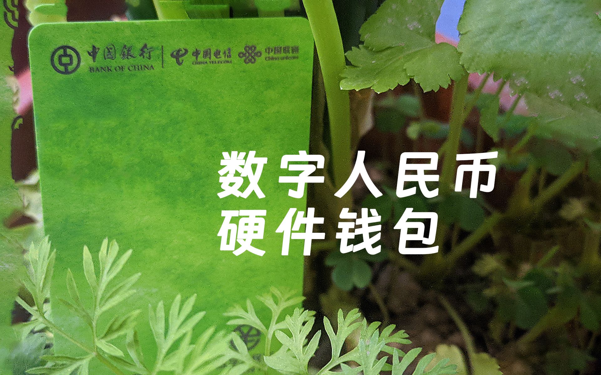 tp钱包微信群_钱包金融qq群_tp钱包交流群