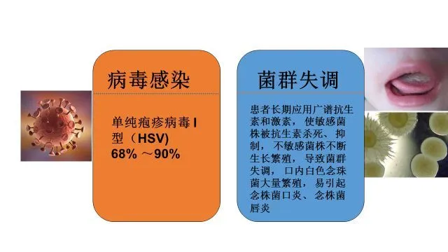 外阴炎为什么久治不愈-外阴炎，为什么治不好？医生揭秘
