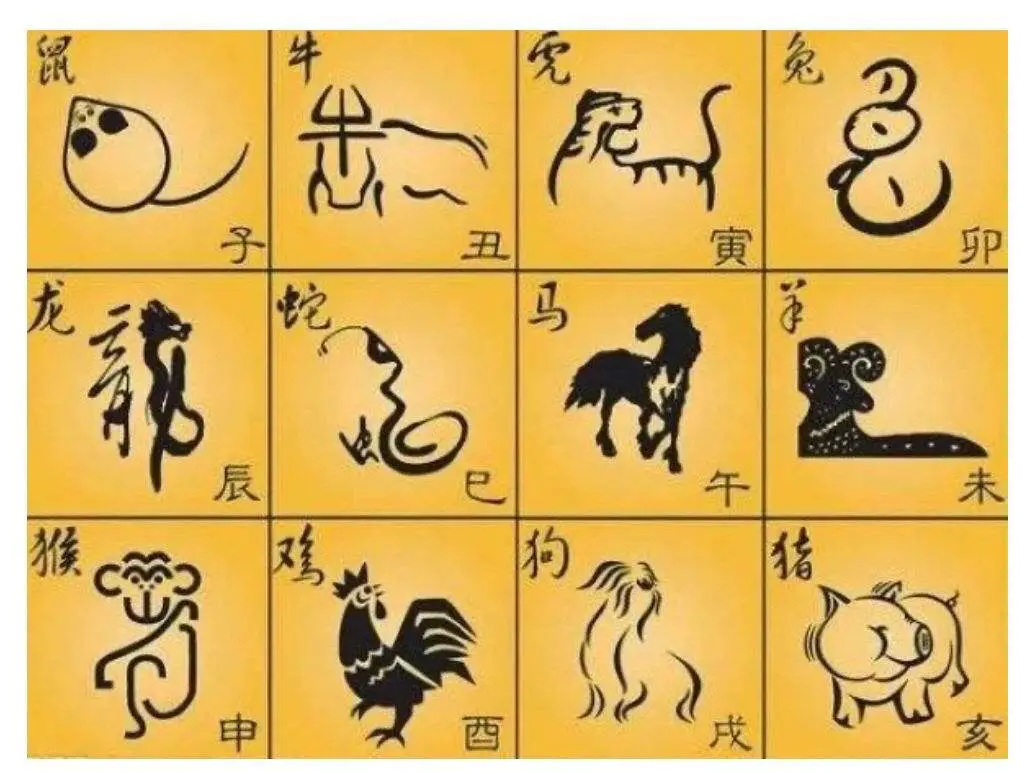 杨阳洋猜生肖_杨阳洋是什么意思_杨猜一生肖