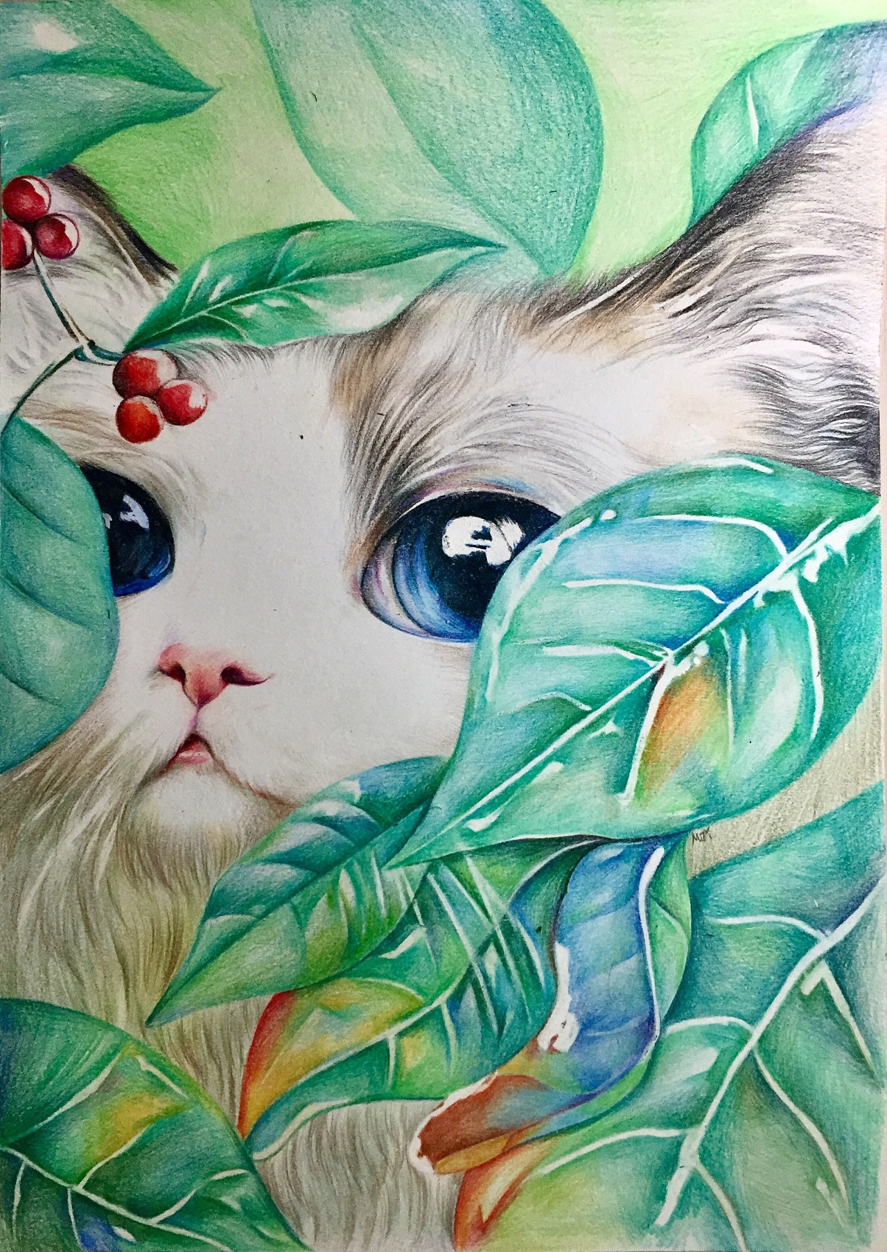 图画猫图片大全大图_超级猫的图画_怎么用画图画猫