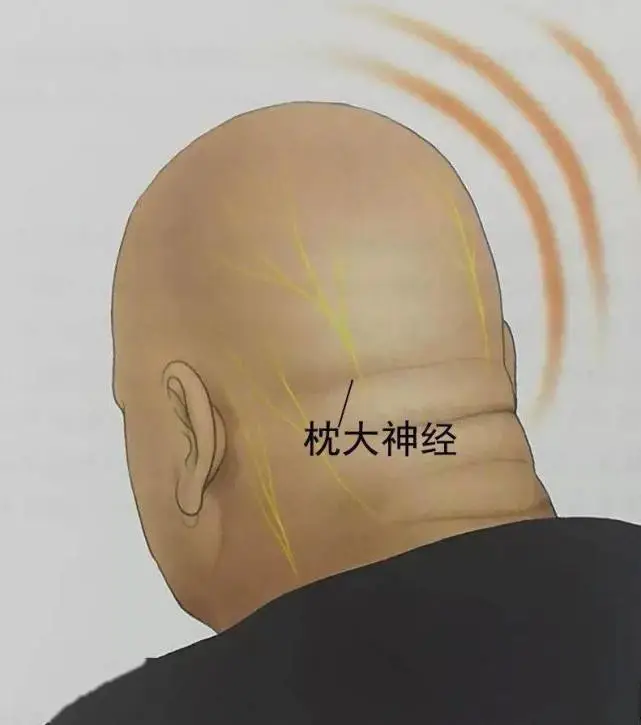 激活无法连接到组织网络_无法激活windows_激活无法连接服务器