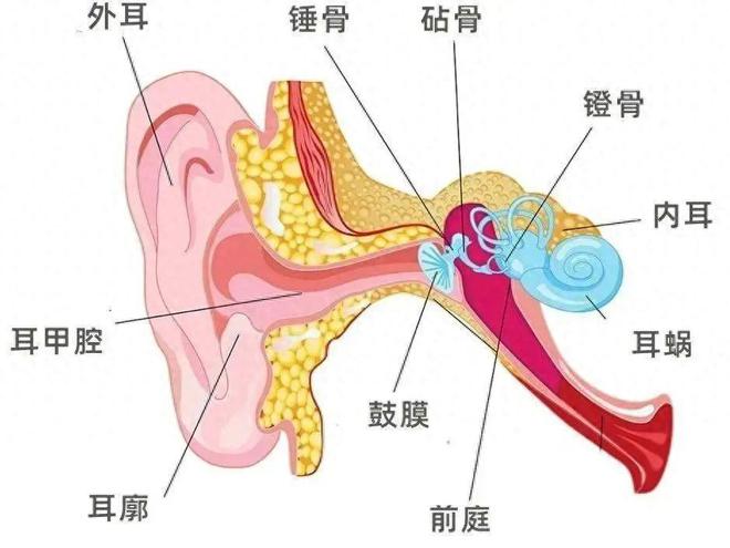 rake接收机的工作原理-揭秘rake接收机：多路径传播技术如何提高信号质量？