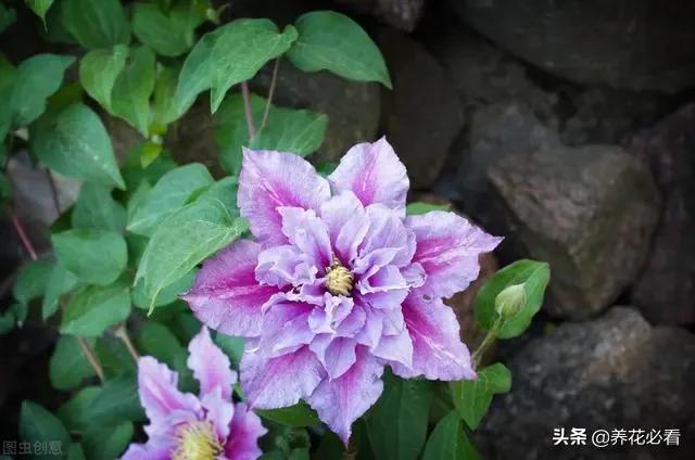 钱包u被盗_imToken钱包币被盗怎么办_imtoken币被盗找回案例