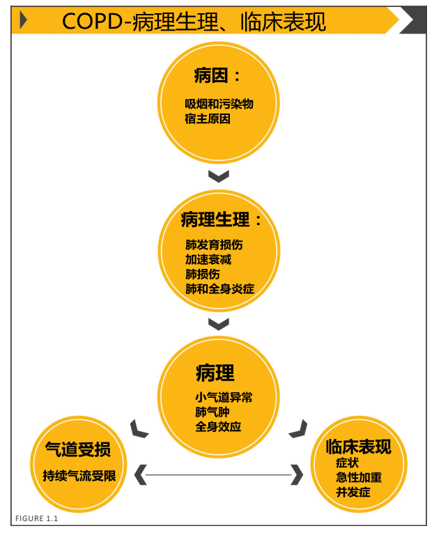 小孩咳嗽变异性哮喘症状_咳嗽性变异哮喘儿童_咳嗽变异性哮喘能治愈吗小孩