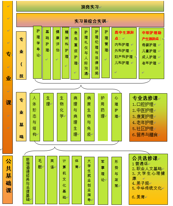 护士证成绩单打印_护士证成绩单怎么查询_护士证成绩单