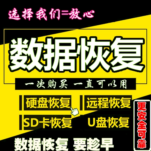 数据恢复的jpg无法打开_文件恢复照片_jpg文件数据恢复
