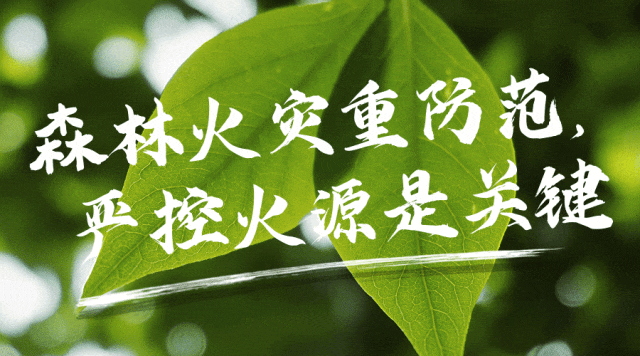 TP钱包怎么转账_钱包转账记录删除了能找回来吗_钱包转账提示事务到期怎么回事