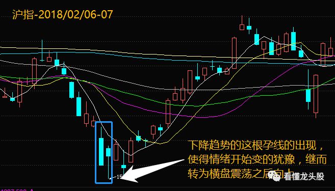 币k线图怎么看_tp钱包薄饼怎么看k线_钱包怎么看k线