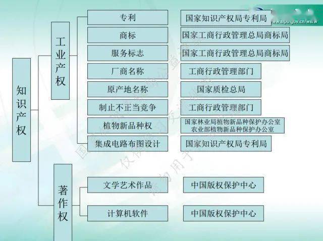 著作权名称软件有哪些_软件著作权名称_软件著作权名字