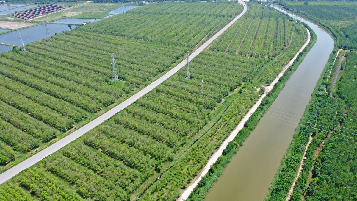 地图北京到武汉的直线距离_mapinfo北京地图_地图北京地图