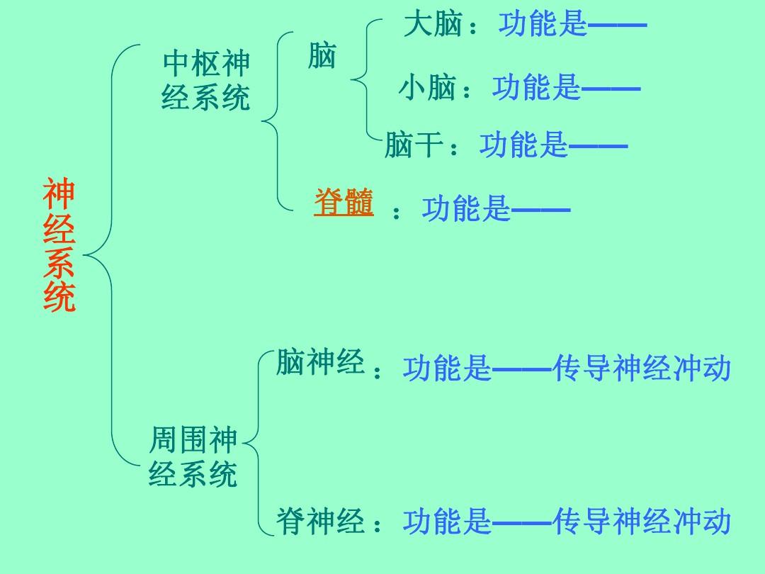 操作系统是_热网系统投停操作_会计电算化系统实务操作教程