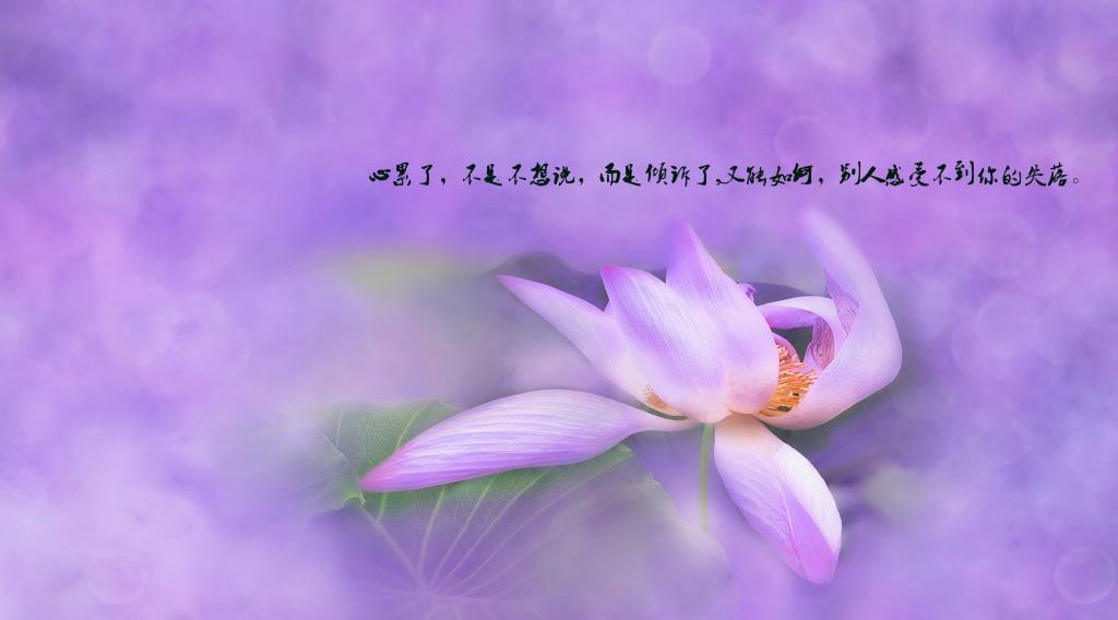 richtextbox插入_richtextbox插入_richtextbox插入