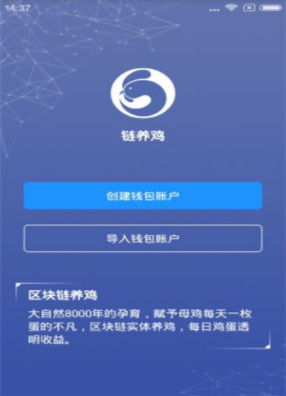 硅谷区块鸡安卓系统,引领未来智能生态的科技新篇章