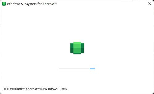 安卓子系统使用教程,轻松掌握系统级开发与优化技巧