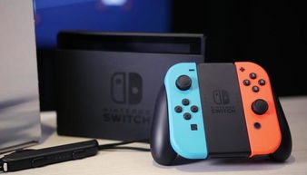 怀德花园switch游戏 