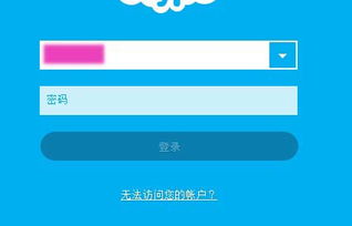 skype为什么登录没有密码,找回与设置新密码的详细指南