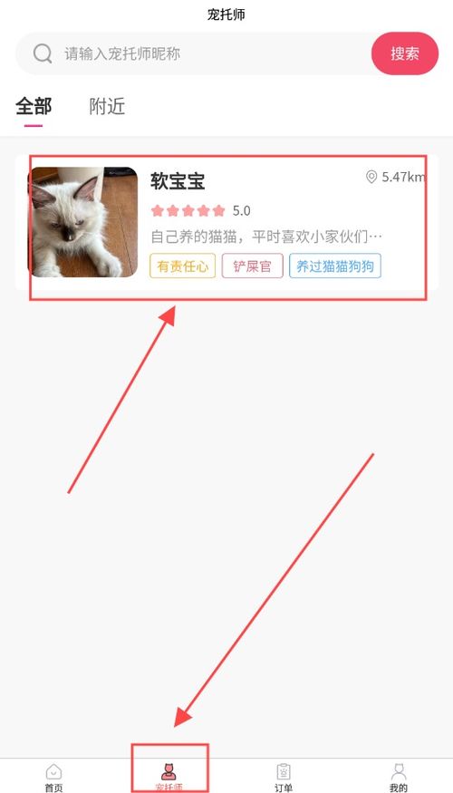 基于安卓的宠物饲养系统,关爱宠物生活新篇章