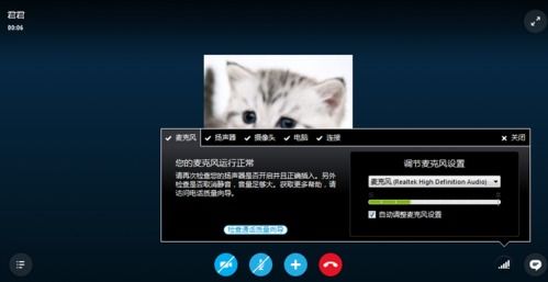 skype信息没有声音怎么办,Skype通话无声音问题解决方案解析