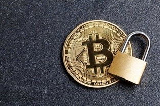 加密货币手提挎包,便携式安全存储解决方案全解析