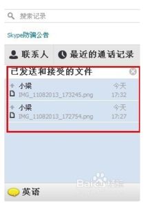 skype信息发送不了,诊断与解决方案概述