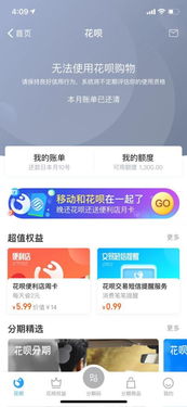 安卓系统不能用花呗,探索替代方案