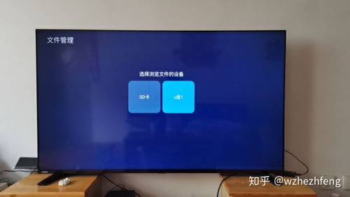 纯安卓系统电视有哪些,开启智能家庭娱乐新篇章