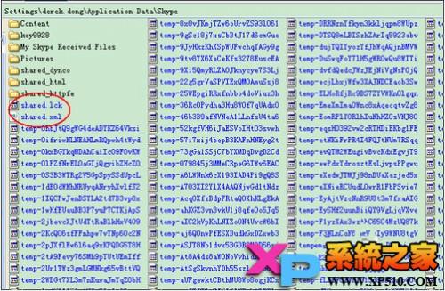 skype文件目录,揭秘文件存储与组织结构
